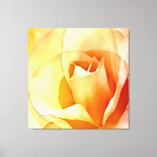 Pink Yellow Rose Watercolor Stretched Canvas Print