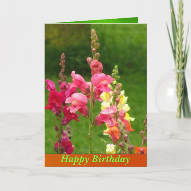 Pink Yellow Snapdragon Flower Happy Birthday Card (Front)