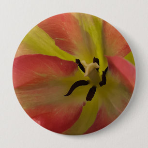 Pink & Yellow Tulip 4 Inch Round Button