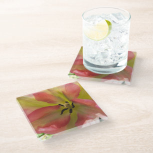 Pink & Yellow Tulip  Glass Coaster