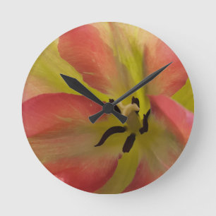 Pink & Yellow Tulip Round Clock