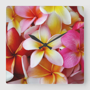 Pink Yellow White Mixed Plumeria Flower Square Wall Clock
