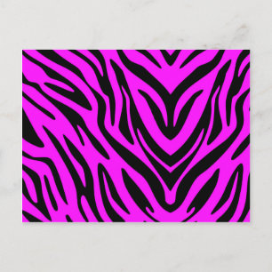 Pink Zebra Postcard