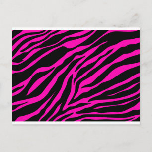 pink zebra postcard