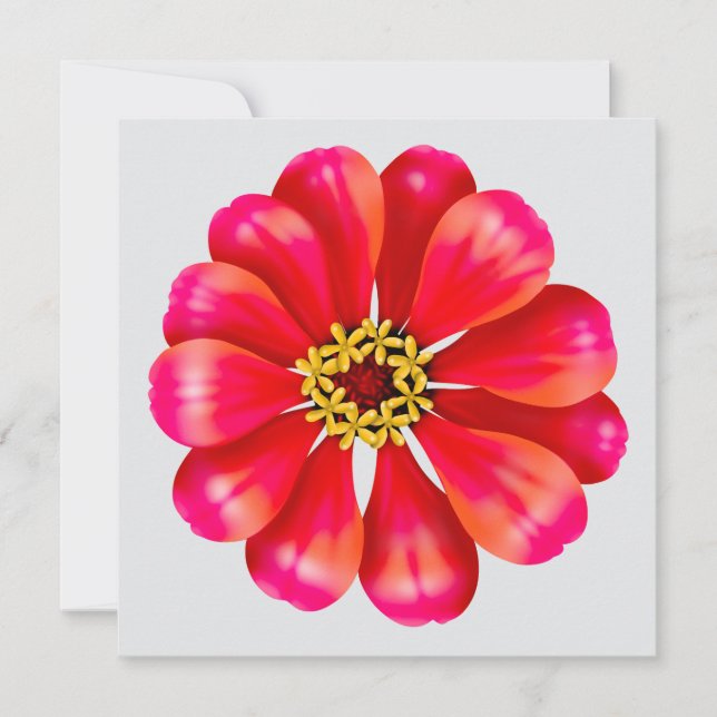 Pink Zinnia (Front)