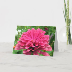 Pink Zinnia - Carte Anniversaire