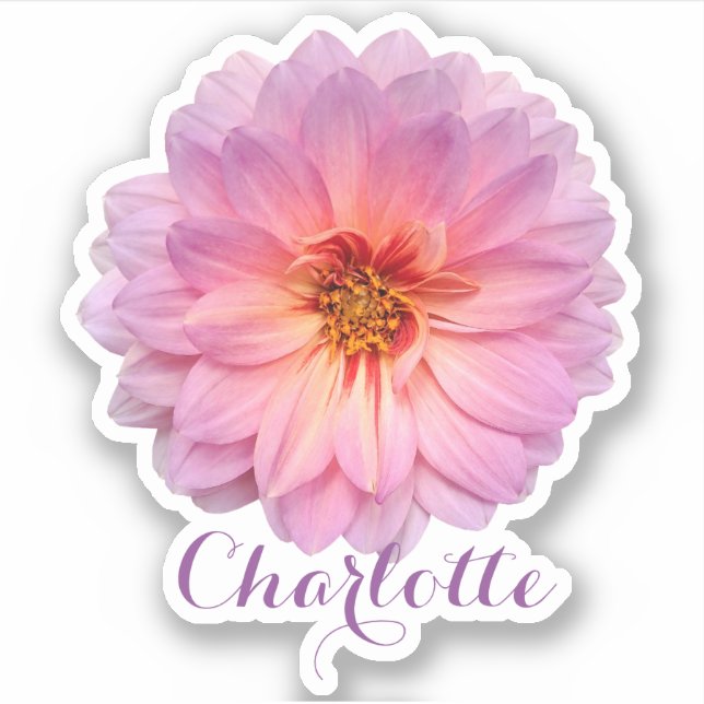 Pink Zinnia Custom Name (Front)