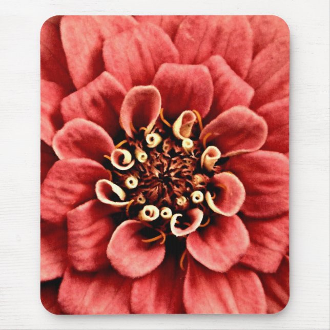 pink zinnia detail is cheery but not too bright mouse pad (Front)