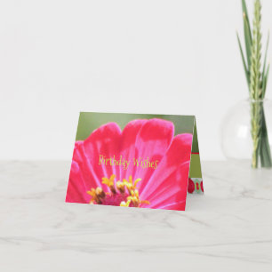 Pink Zinnia Flower Card