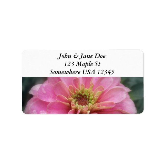 Pink Zinnia Flower Label (Front)