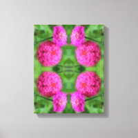 Pink Zinnia Flower Pair Close Up Abstract 