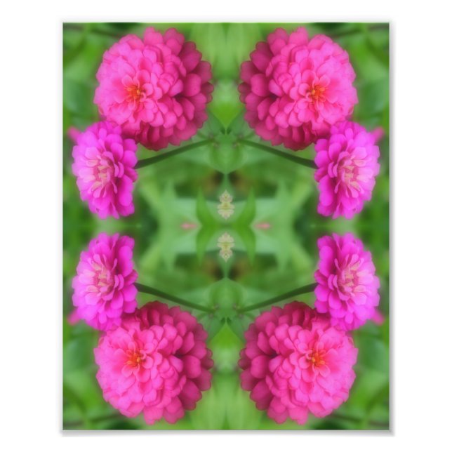 Pink Zinnia Flower Pair Mirror Abstract 8x10 Photo Print (Front)
