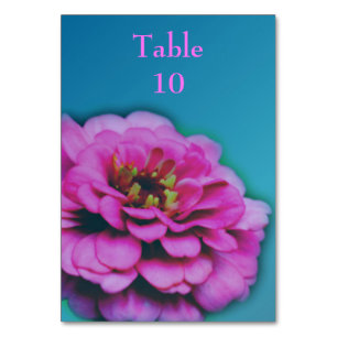 Pink Zinnia Flower Wedding Table Number