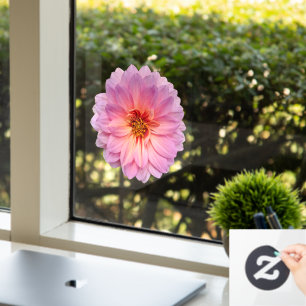 Pink Zinnia Flower Window Cling