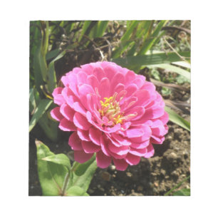Pink Zinnia Notepad