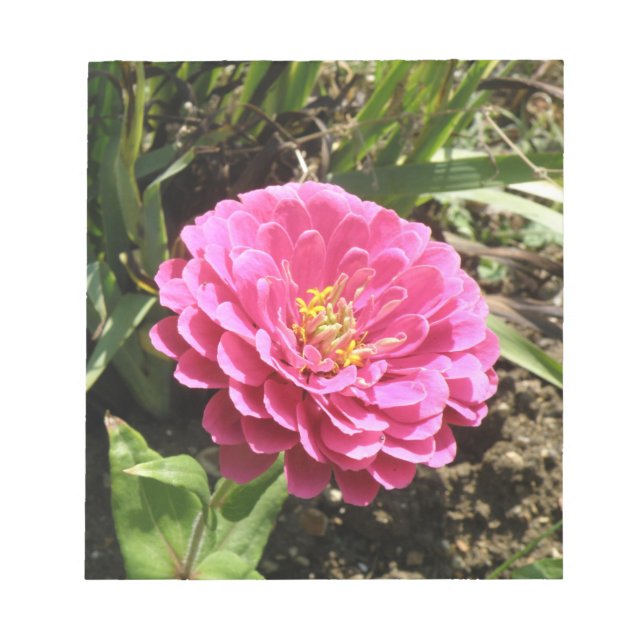 Pink Zinnia Notepad (Front)