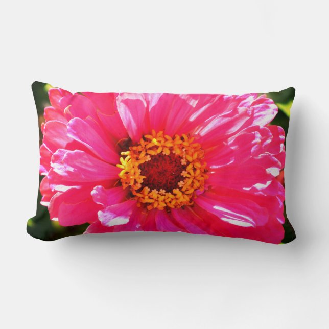 Pink Zinnia, pink daisy, pink flower photo  Lumbar Pillow (Front)