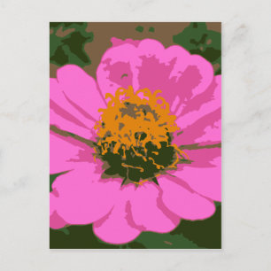 Pink Zinnia Postcard