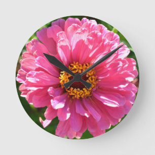 Pink Zinnia Round Clock