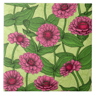 Pink Zinnias on light green Tile