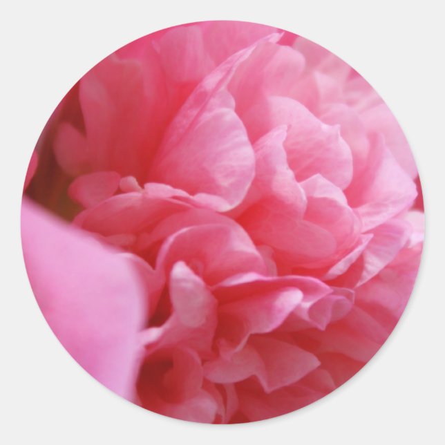 Pinkalicious Stickers (Front)