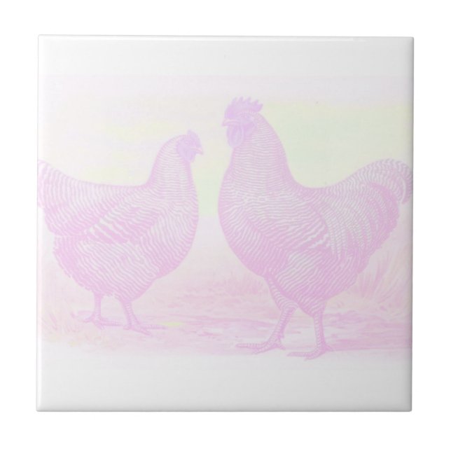 PinkFoam Tile (Front)