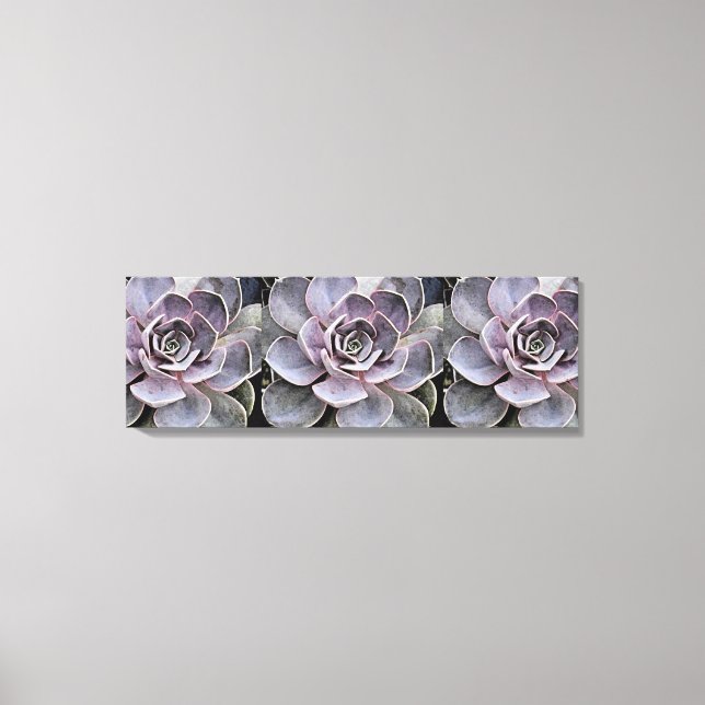 Pinkish -Blue-grey Echeveria "Rose" Succulent Plan Canvas Print (Front)