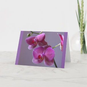 Pinkish purple phalaenopsis orchid greeting card