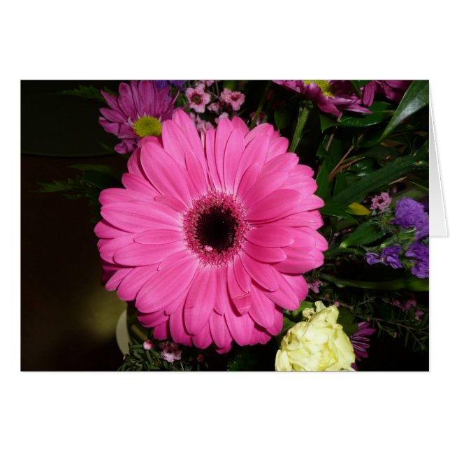 Pinkk Gerber Daisy (Front Horizontal)