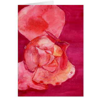 pinkrose