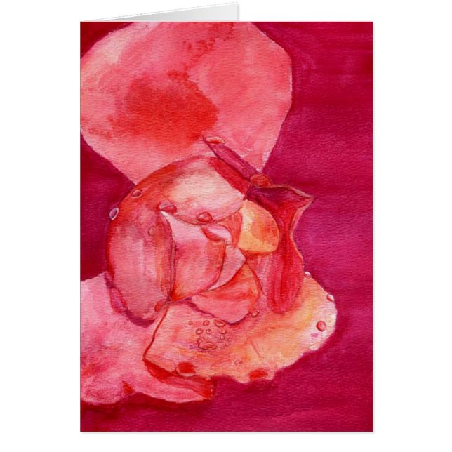pinkrose (Front)