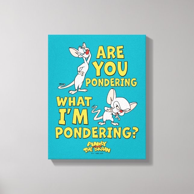 Pinky and the Brain | Are You Pondering? Canvas Print (Front)