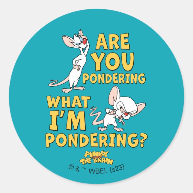 Pinky and the Brain | Are You Pondering? Classic Round Sticker (Front)
