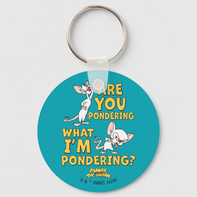 Pinky and the Brain | Are You Pondering? Keychain (Front)