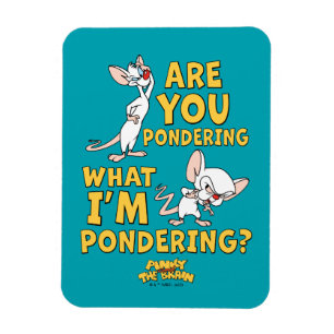Pinky and the Brain   Are You Pondering? Magnet