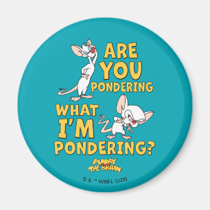 Pinky and the Brain   Are You Pondering? Magnet
