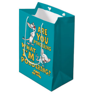 Pinky and the Brain Are You Pondering? Medium Gift Bag