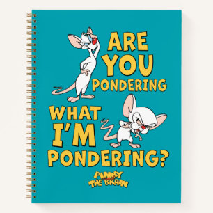 Pinky and the Brain   Are You Pondering? Notebook
