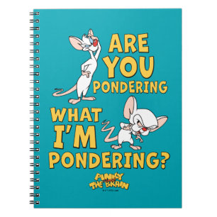 Pinky and the Brain Are You Pondering? Notebook