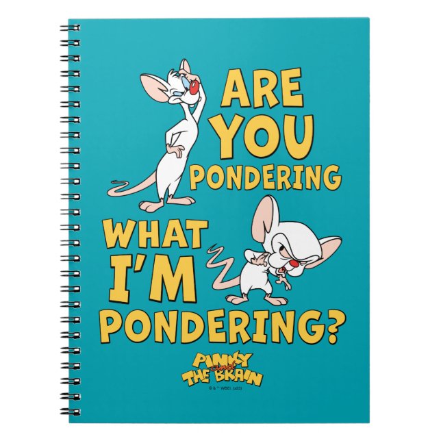 Pinky and the Brain | Are You Pondering? Notebook (Front)
