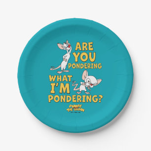 Pinky and the Brain Are You Pondering? Paper Plate