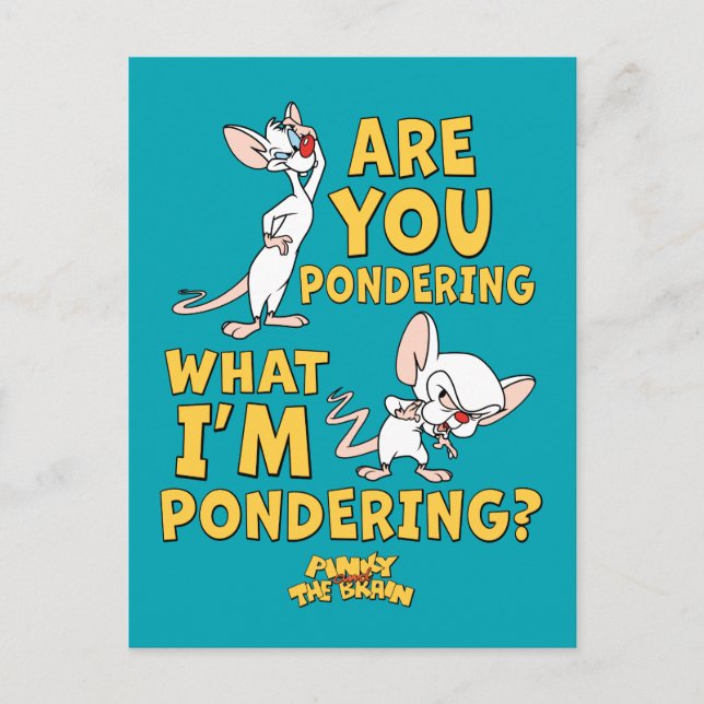 Pinky and the Brain | Are You Pondering? Postcard (Front)