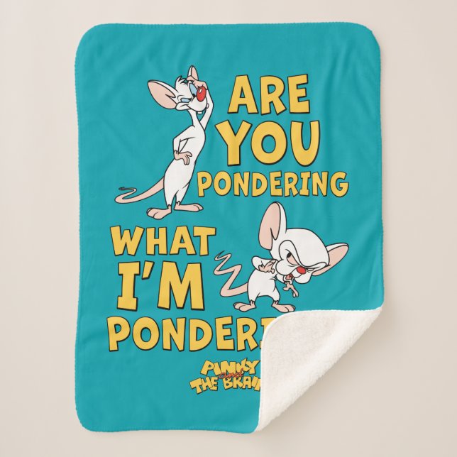 Pinky and the Brain | Are You Pondering? Sherpa Blanket (Front)