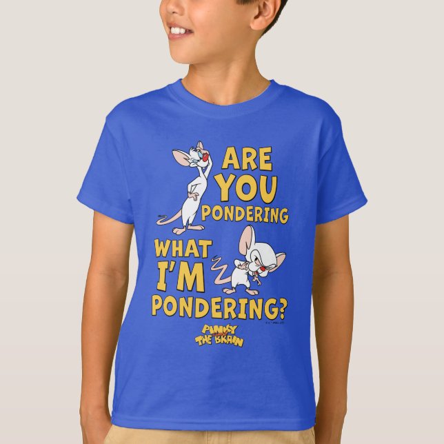 Pinky and the Brain | Are You Pondering? T-Shirt (Front)