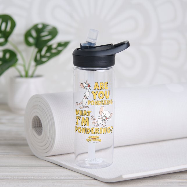 Pinky and the Brain | Are You Pondering? Water Bottle (Yoga)