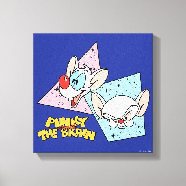 Pinky and the Brain | Retro Character Graphics Canvas Print (Front)