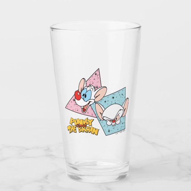 Pinky and the Brain | Retro Character Graphics Glass (Front)