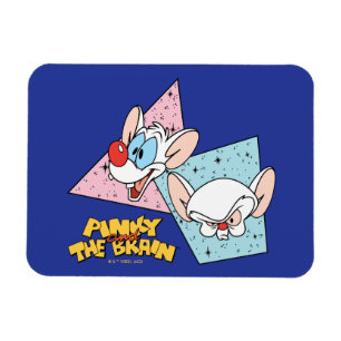 Pinky and the Brain   Retro Character Graphics Magnet