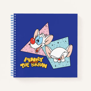 Pinky and the Brain Retro Character Graphics Notebook