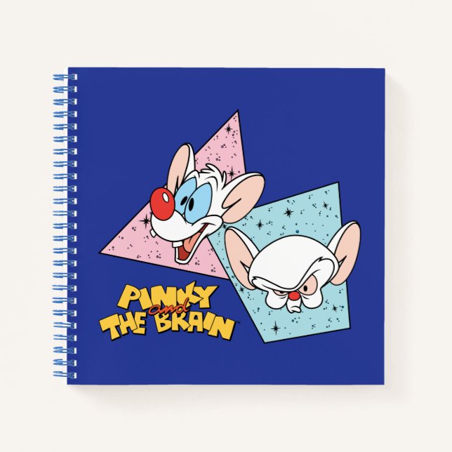 Pinky and the Brain | Retro Character Graphics Notebook (Front)